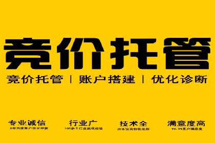 成功案例：SEO与SEM优化助力企业突破瓶颈